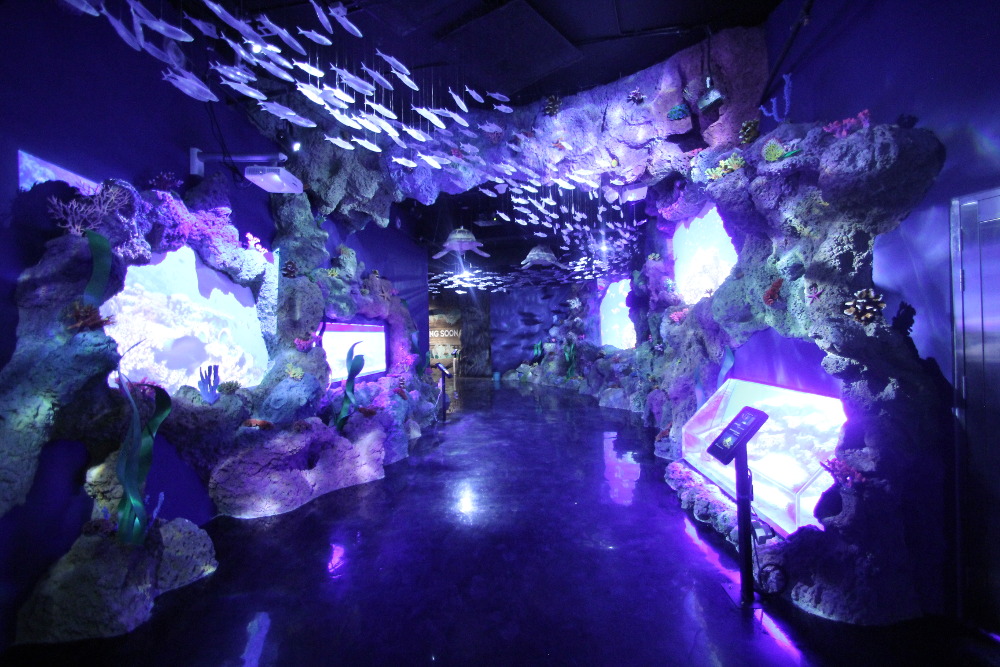 Rayakan Pilkada 2018 dengan Kegiatan dan Promo Seru!