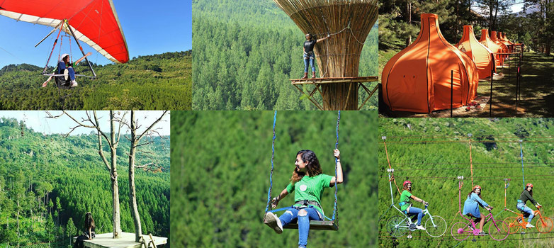 The Lodge Maribaya, Cibodas