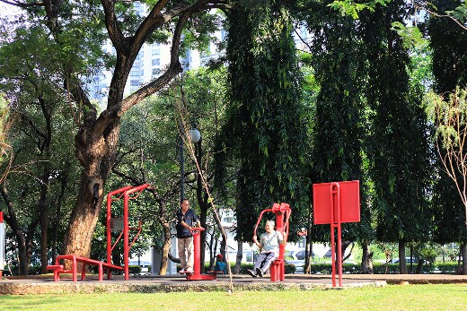 ayunan di taman cattleya