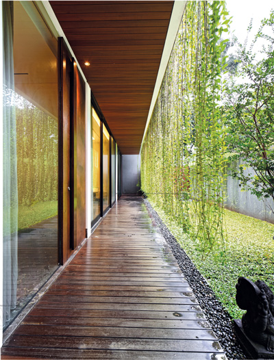 inspirasi taman rumah minimalis di lahan kecil