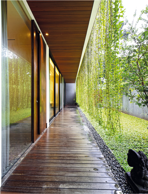 Teras minimalis dengan Vertical Garden