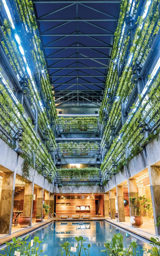 kolam renang Greenhost Boutique Hotel dihiasi sayuran hidroponik