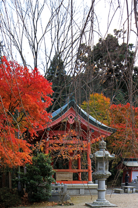Ini Rahasia Rumah Tahan Gempa di Jepang