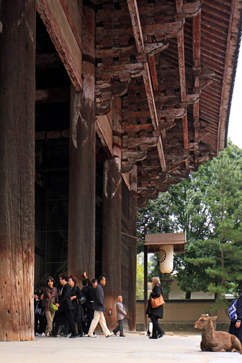 Ini Rahasia Rumah Tahan Gempa di Jepang
