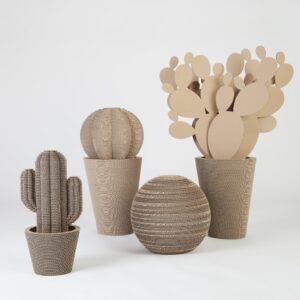 Pajangan Kaktus ini Dapat Membersihkan Udara di Ruangan