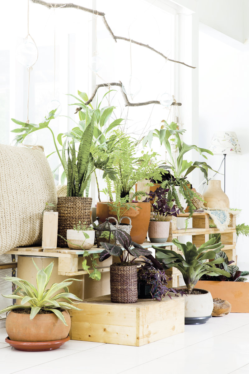 inspirasi taman rumah minimalis di lahan kecil