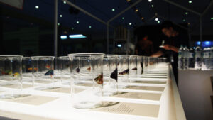 Index Mozaik Indonesia 2017 resmi telah dibuka