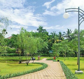 pohon pohon di taman tabebuya