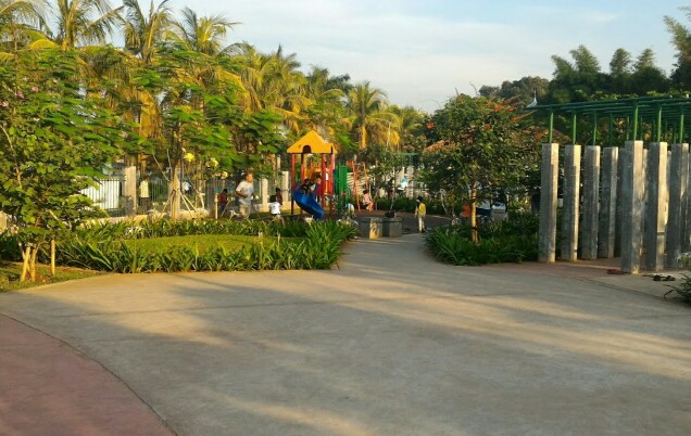 tampak dalam taman kelapa