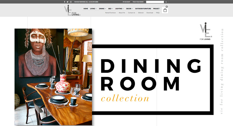 tampilan website vie for living