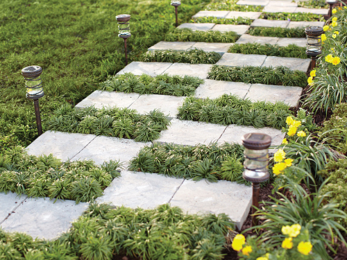 inspirasi taman rumah minimalis di lahan kecil