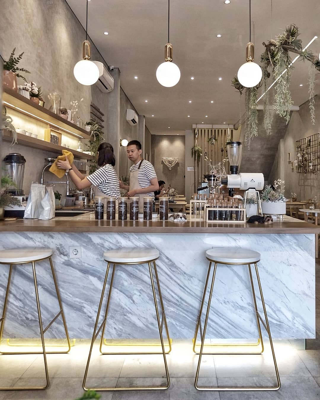 C for Cupcakes & Coffee / Dave Zhang