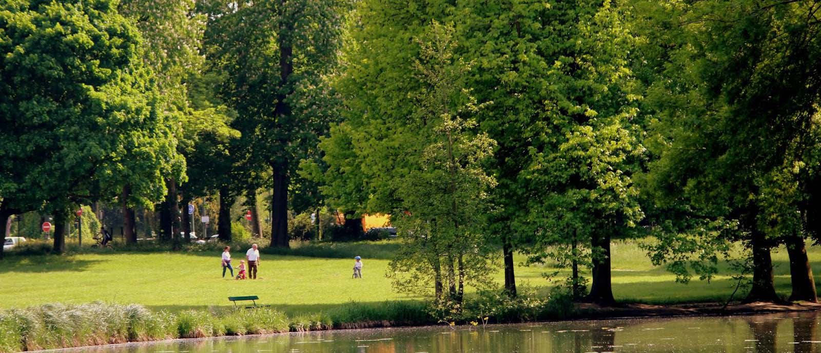Bois De Bolougne / Jim Murray