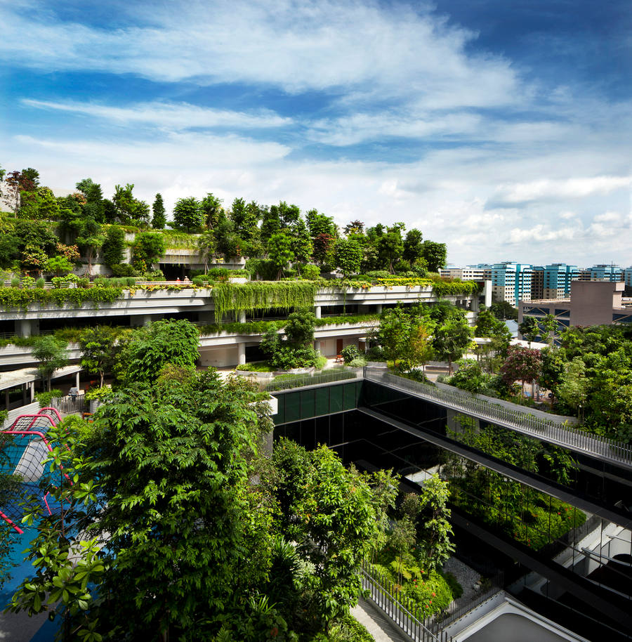 Community Park di Kampung Admiralty / Patrick Bingham-Hall / Archdaily