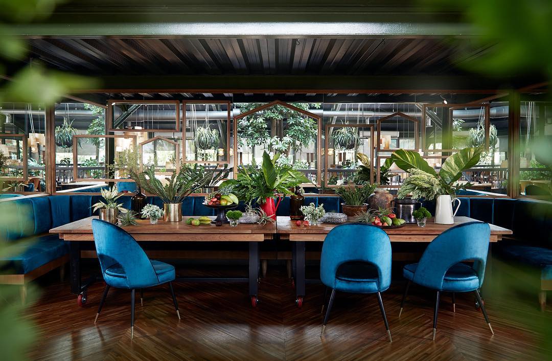 Mengenal Lebih Dekat dengan Domisilium Studio