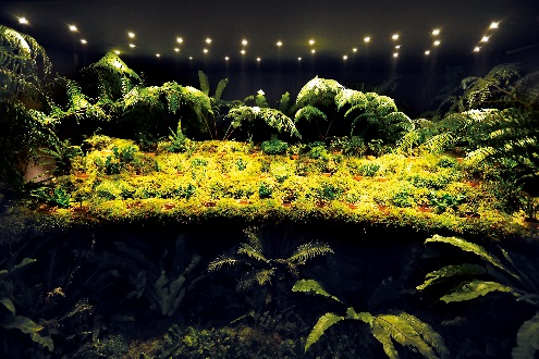 Designer’s Showcase Casa 2018: Satya Putra & Ogi