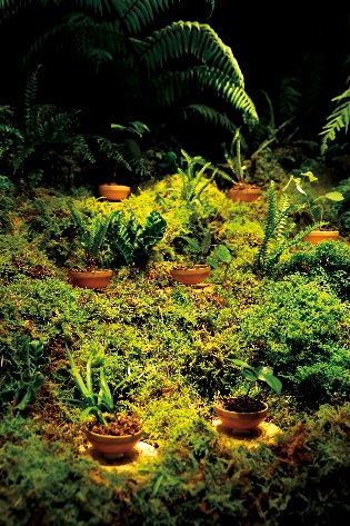 Designer's Showcase: Satya Putra & Ogi