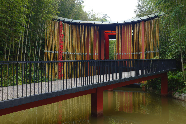 Nikmati Keindahan Lautan Bambu di Zhuhai National Park