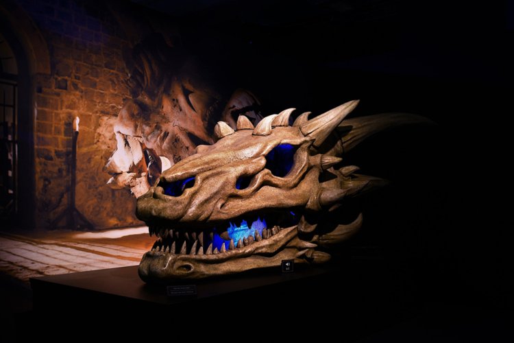 Penggemar GoT! Ini Tour Game of Thrones di Belfast