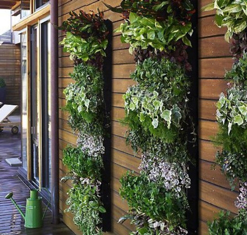 Kenal Lebih Dekat Tentang Vertical Garden