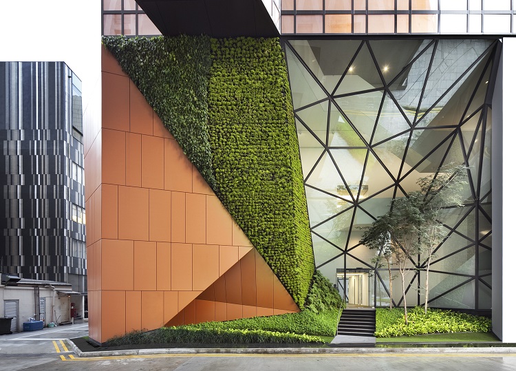 Kenal Lebih Dekat Tentang Vertical Garden