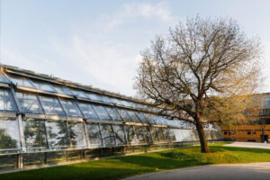 Unik! Lapangan Tenis yang Dikelilingi Rumah Kaca