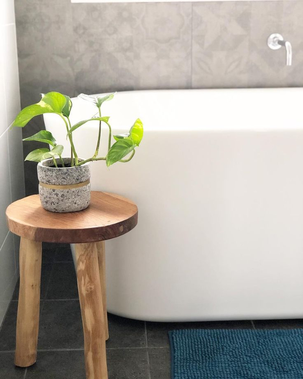 Segar dan Sehat! Temukan Khasiat Tanaman di Kamar Mandi