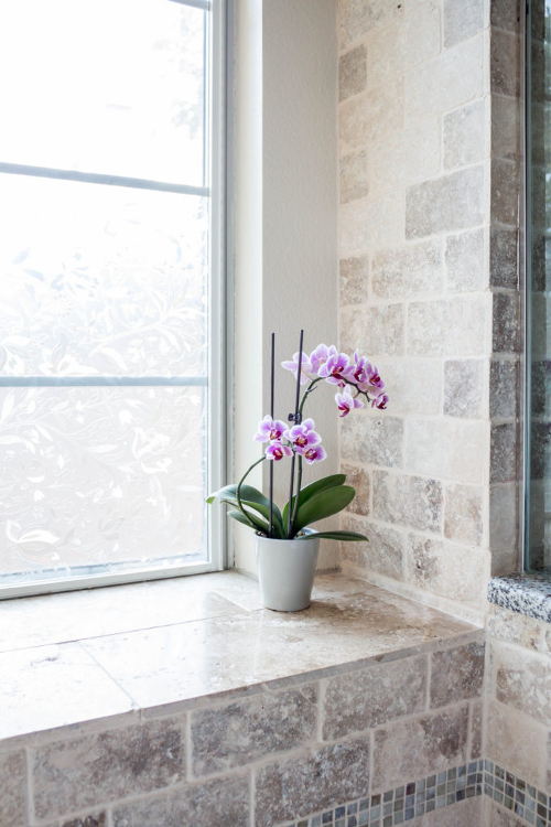 Segar dan Sehat! Temukan Khasiat Tanaman di Kamar Mandi