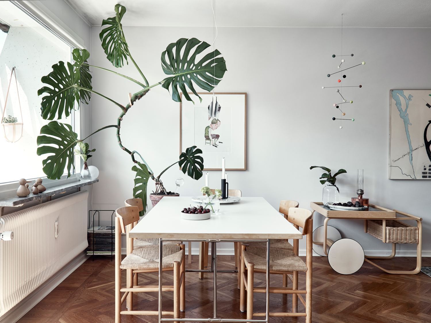 mendekorasi ruangannya dengan Monstera