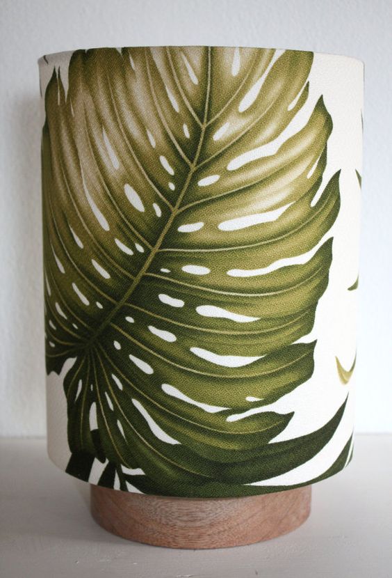 Monstera, Kap Lampu