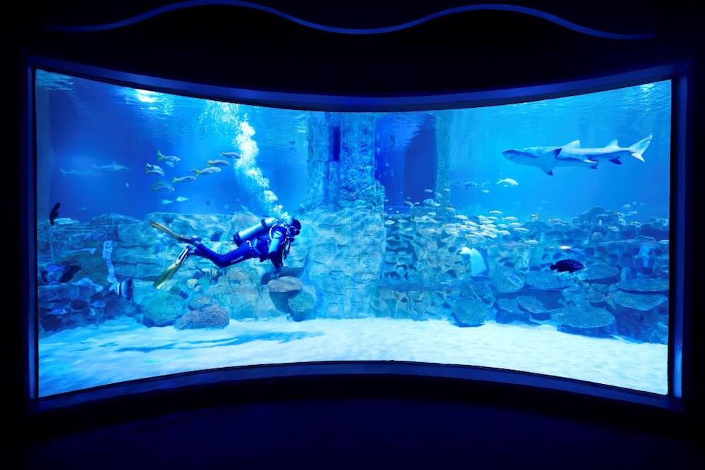 Akuarium Raksasa Pertama di India Telah Resmi Dibuka