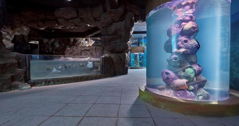 Akuarium Raksasa Pertama di India Telah Resmi Dibuka