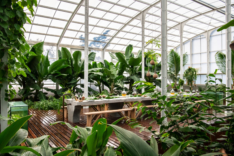 Rasakan Pengalaman Bersantap Di Dalam Rumah Kaca