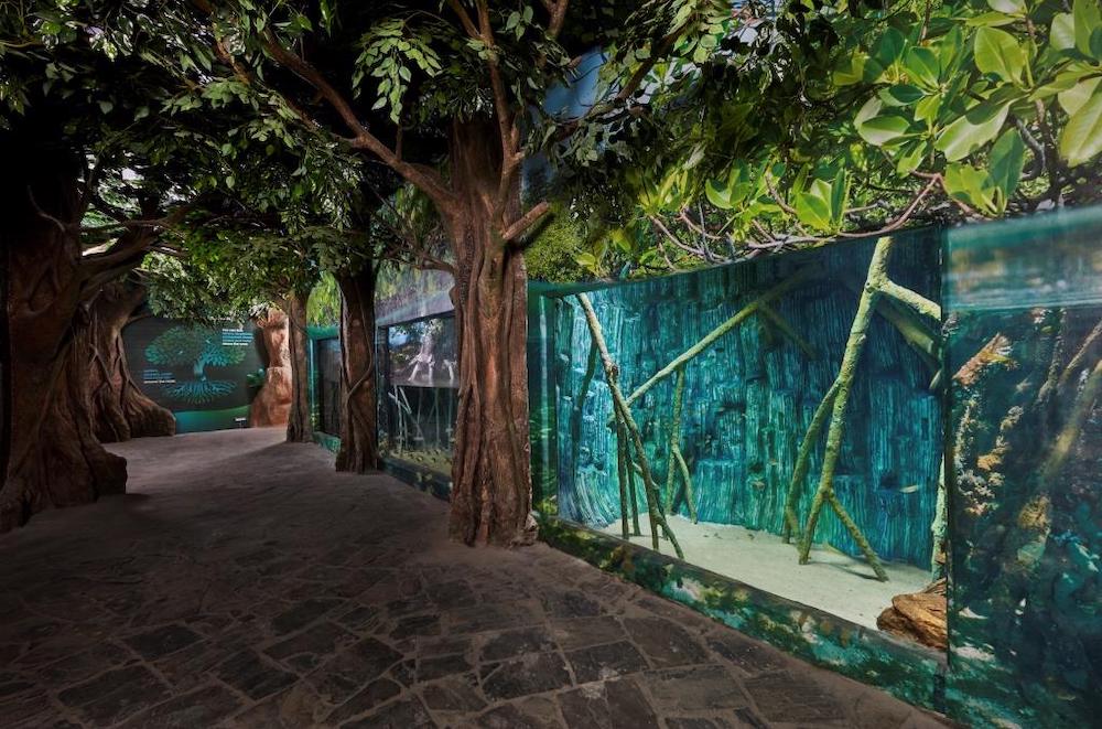 Akuarium Raksasa Pertama di India Telah Resmi Dibuka