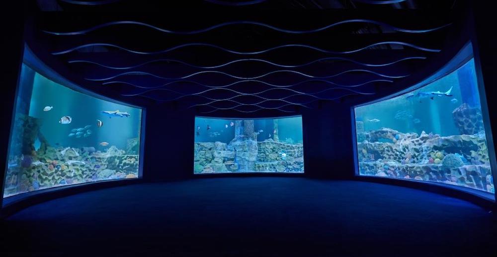 Akuarium Raksasa Pertama di India Telah Resmi Dibuka