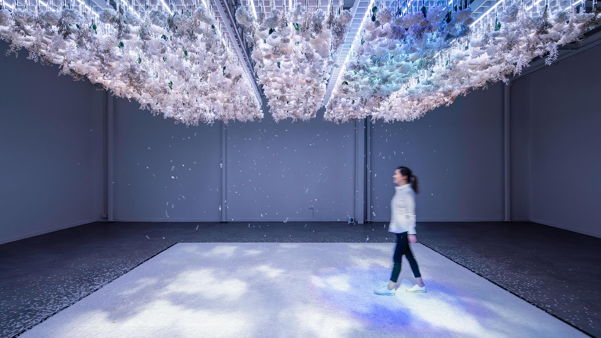 Manjakan Seluruh Indera Dalam Pameran The Art of Bloom