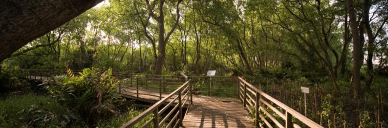 Warga JABODETABEK, Ini 12 Tips Weekend Murah & Seru