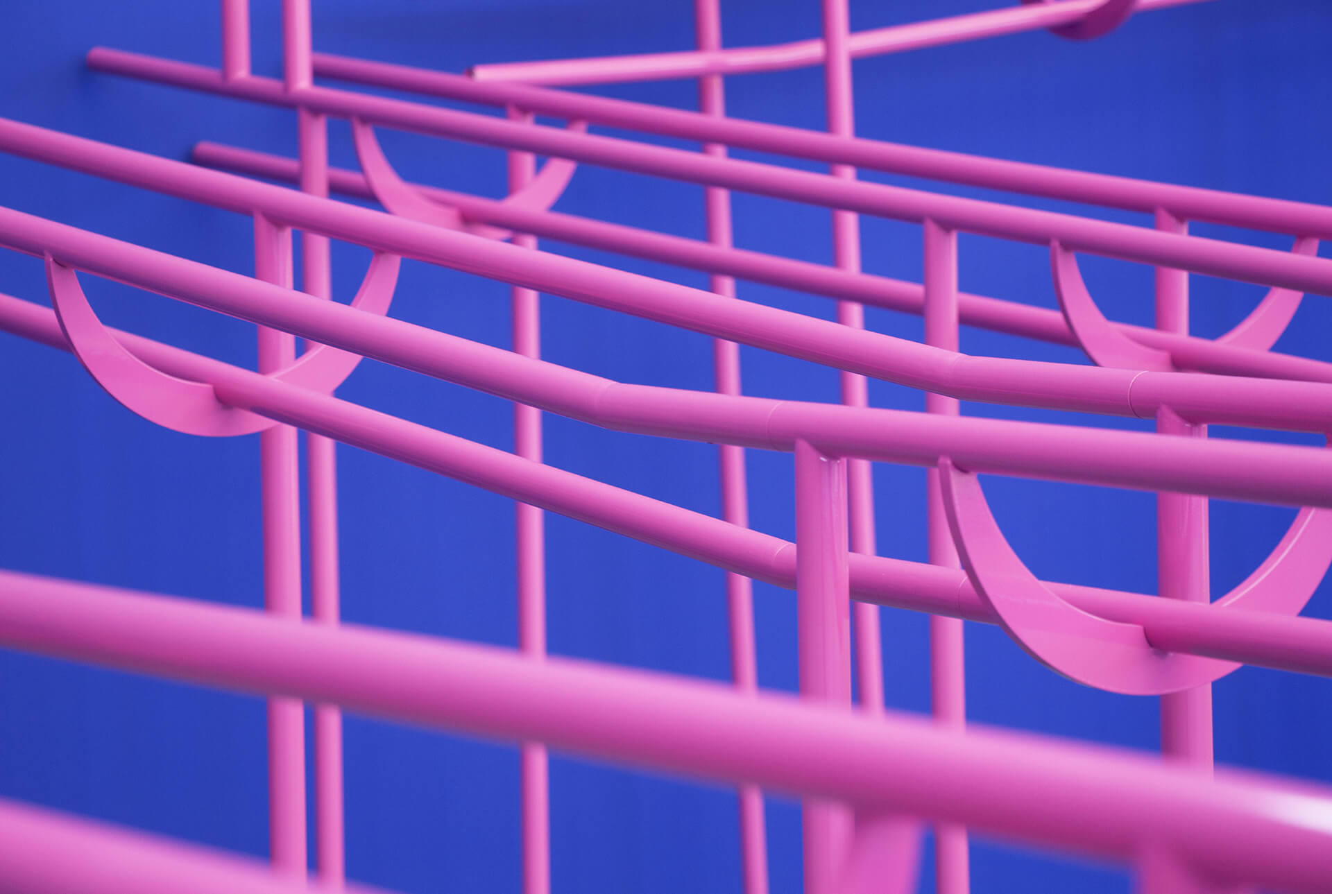 Intip Lapangan Basket Yang Penuh Sensualitas