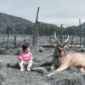 32 Tempat Wisata Anak di Bandung Yang Murah dan Seru