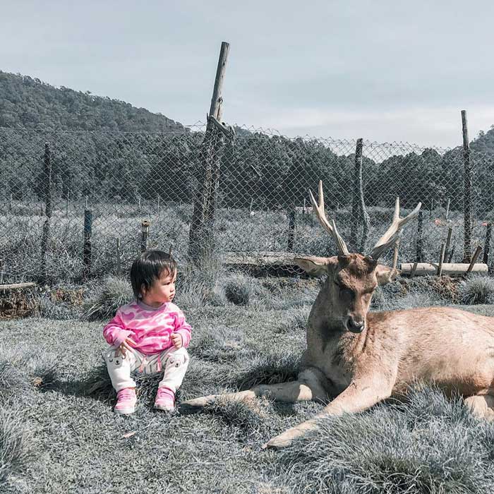 32 Tempat Wisata Anak di Bandung Yang Murah dan Seru