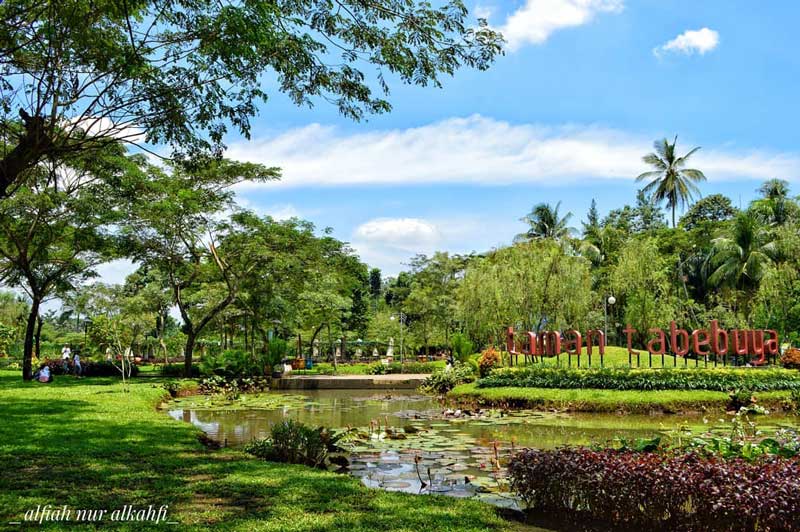 Suasana Taman Tabebuya