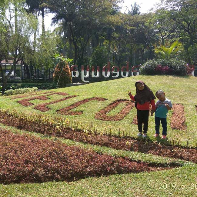 Taman Tabebuya, Jagakarsa