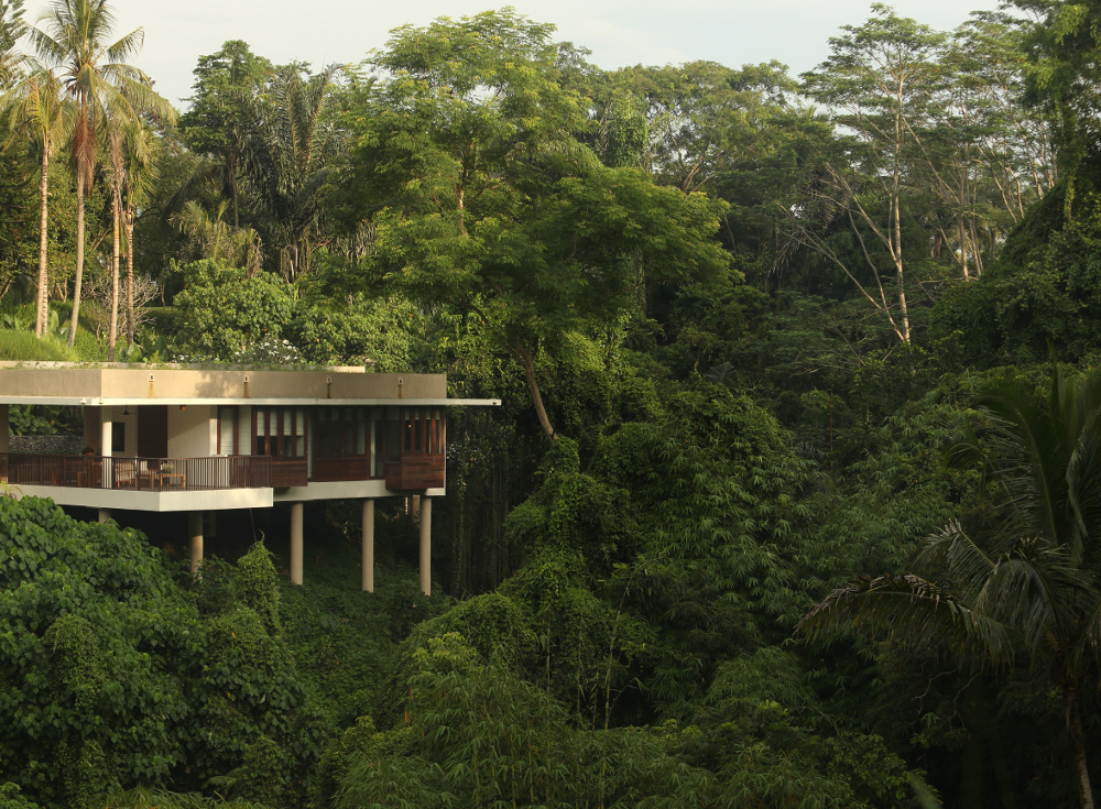 Menikmati Keasrian Alam Hutan Hujan Alila Ubud