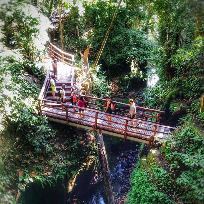 Jalanan Setapak di Kawasan Ubud Monkey Forest