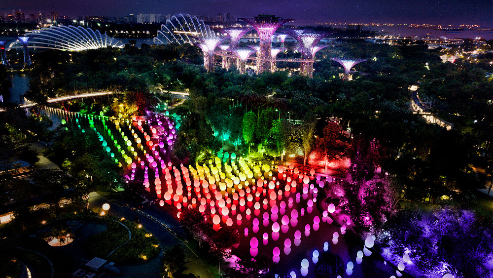 Tahun Baru Seru di Singapura, Pameran Gratis TeamLab