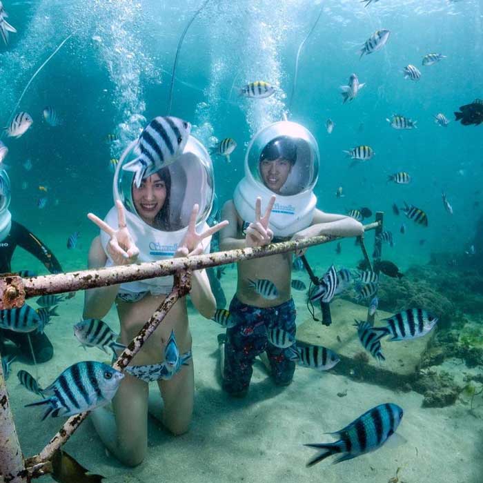 Melihat Keindahan Bawah Laut dengan Sea Walker