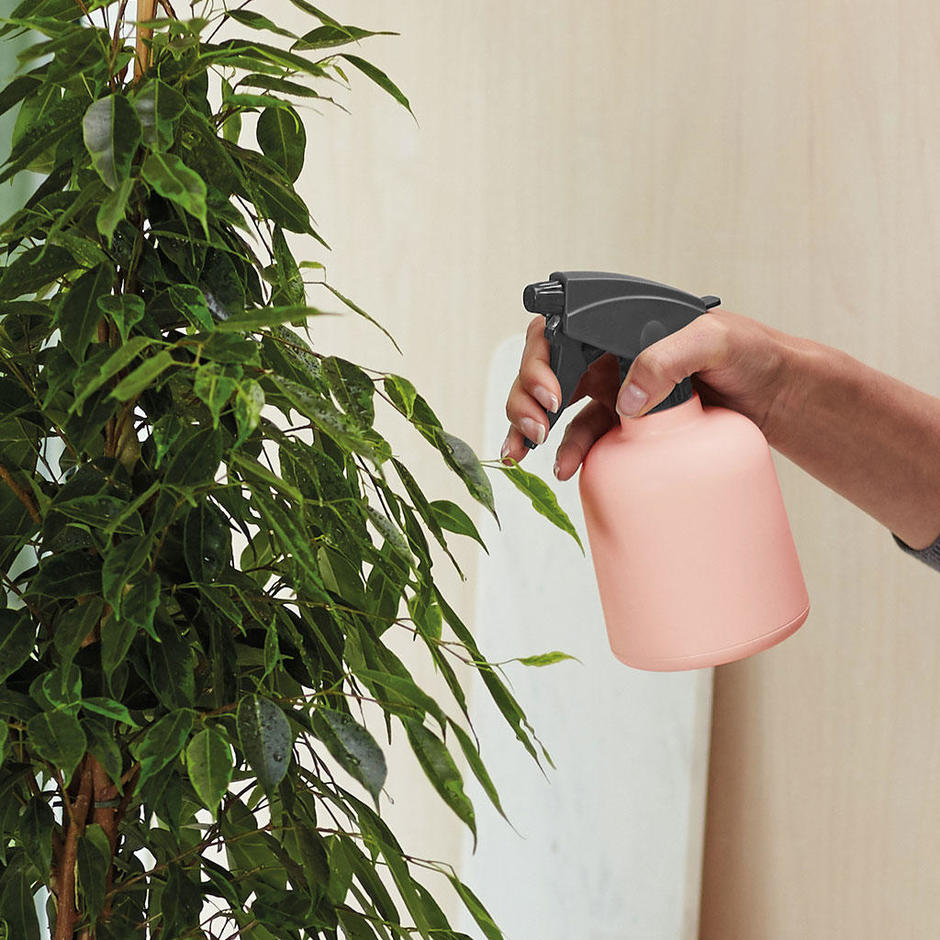 Manfaat Taman Indoor: Sudut Hijau di Dalam Rumah