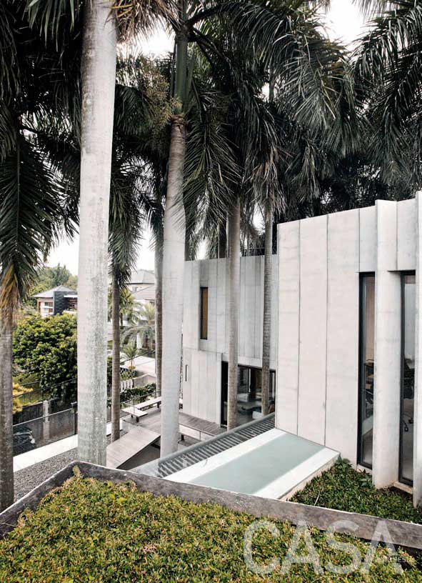 Hebat! Rumah ini Dibangun di Tengah 24 Pohon Palem andra matin bintaro