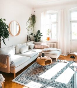 8 Tanaman Berdaun Lebar ini Bagus untuk Dekorasi Rumah