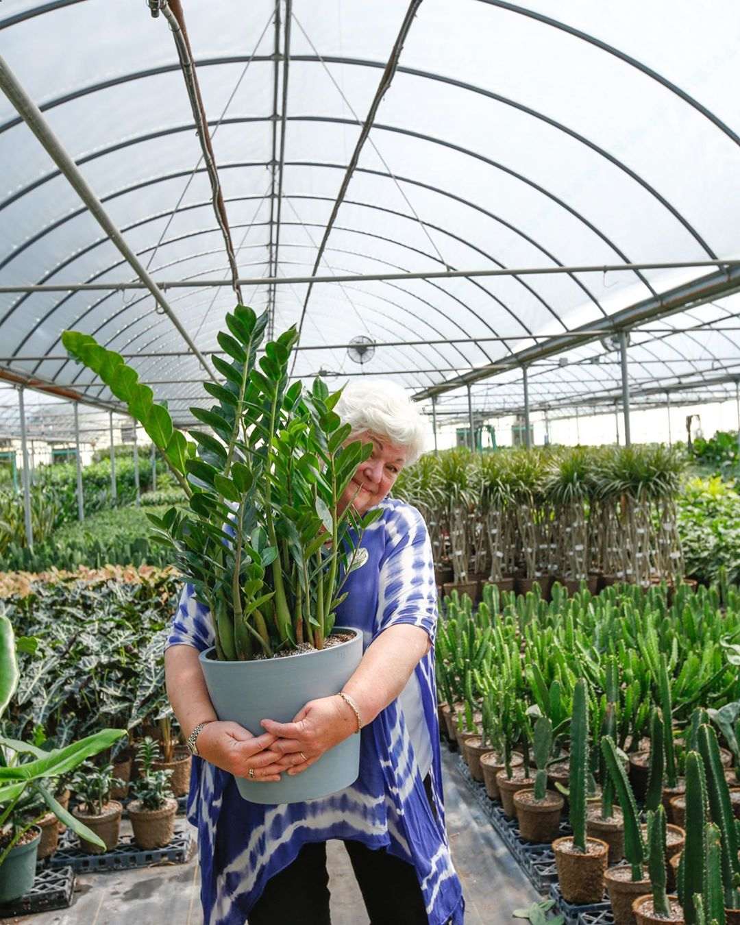 Ini dia! Prediksi Tren Tumbuhan di Tahun 2020